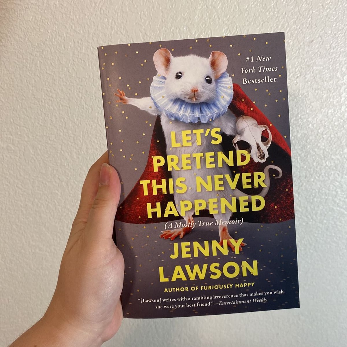 Let's Pretend This Never Happened by Jenny Lawson, Paperback | Pangobooks