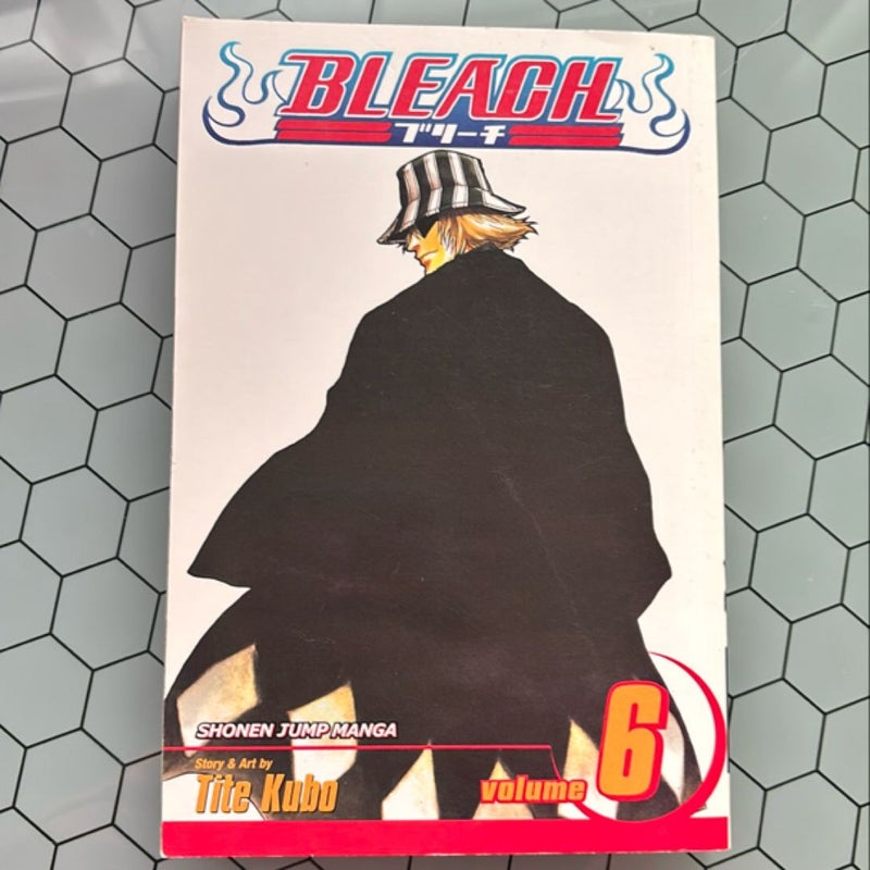 Bleach, Vol. 6