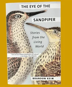 The Eye of the Sandpiper