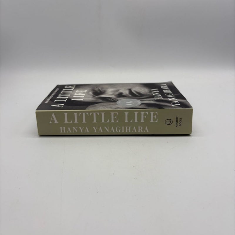 A Little Life