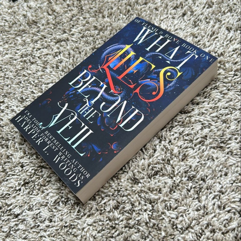 What Lies Beyond the Veil (OOP Indie Edition) 