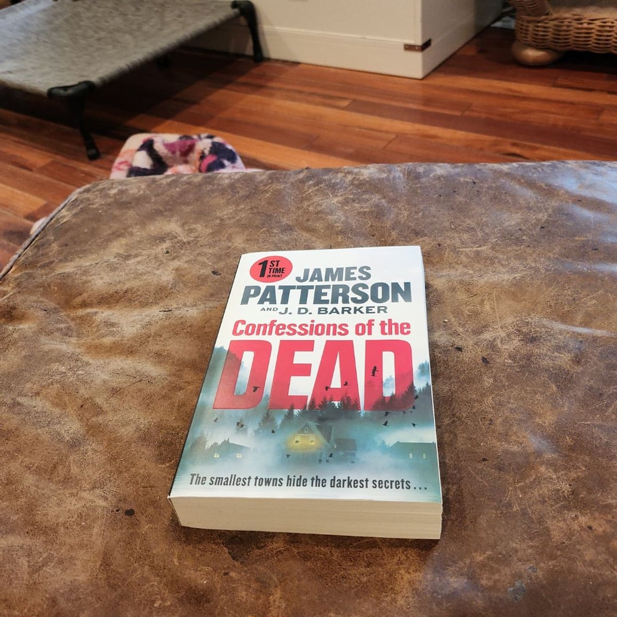 Confessions of the Dead by James Patterson, J. D. Barker