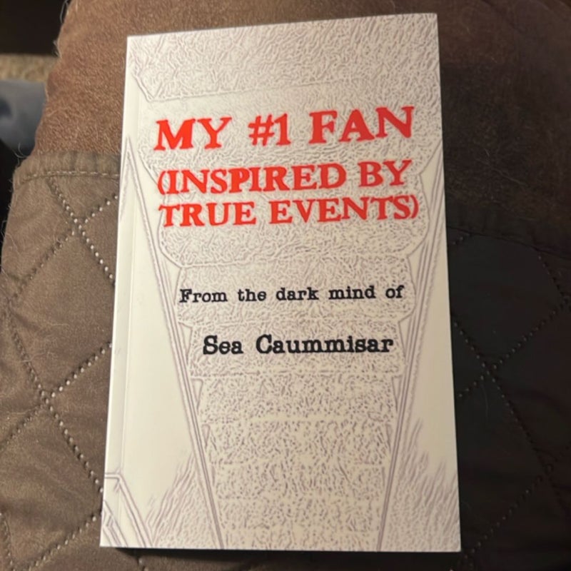My #1 Fan (Inspired by True Events)