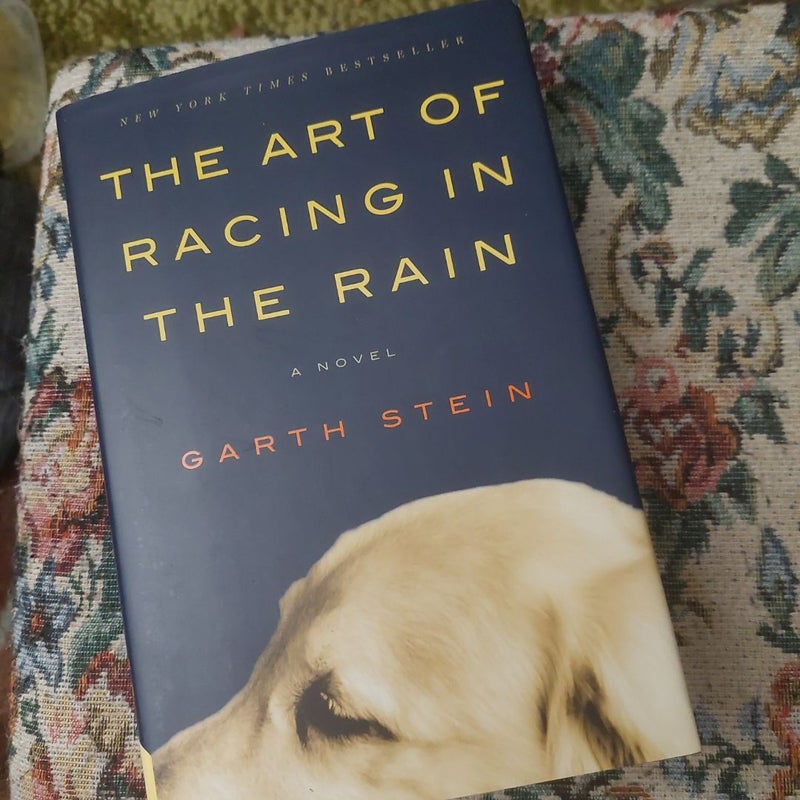 The Art of Racing in the Rain