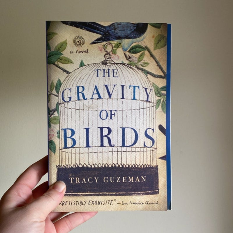 The Gravity of Birds