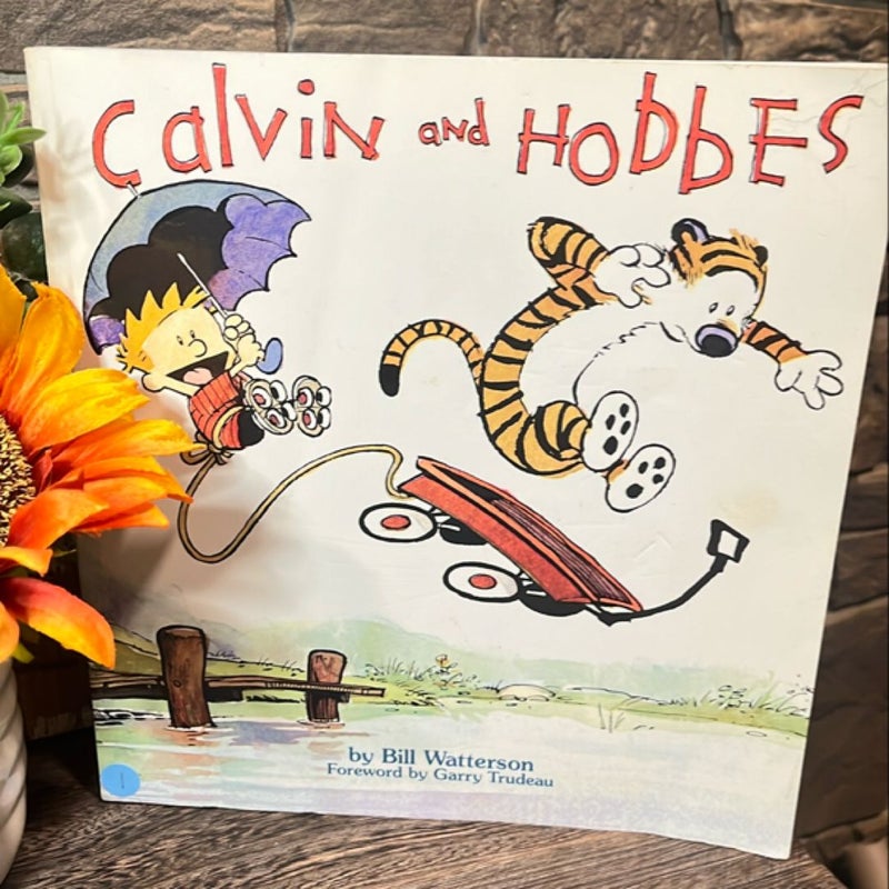 Calvin and Hobbes