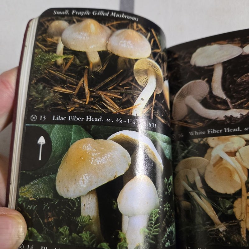 National Audubon Society Field Guide to North American Mushrooms