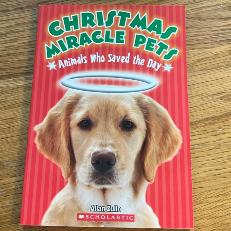 Christmas Miracle Pets