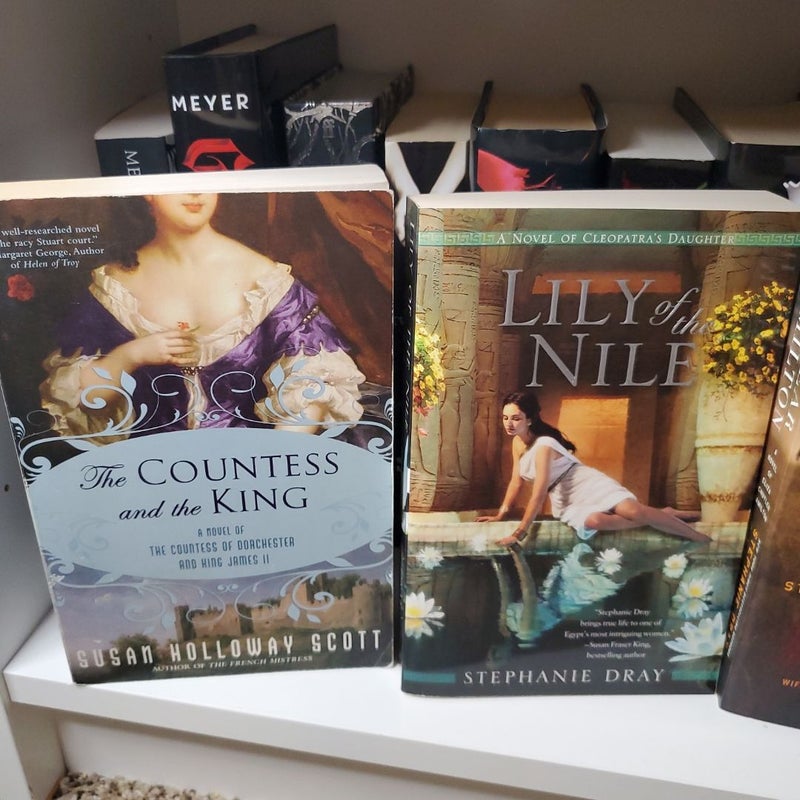Historical Fiction Bulk Sale