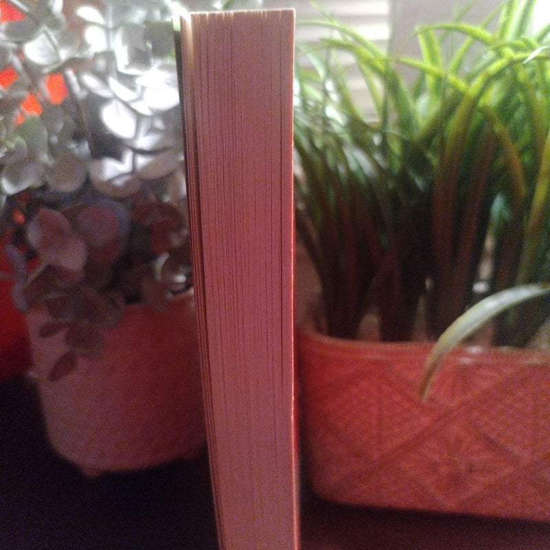 The Curious Incident of the Dog in the Night-Time