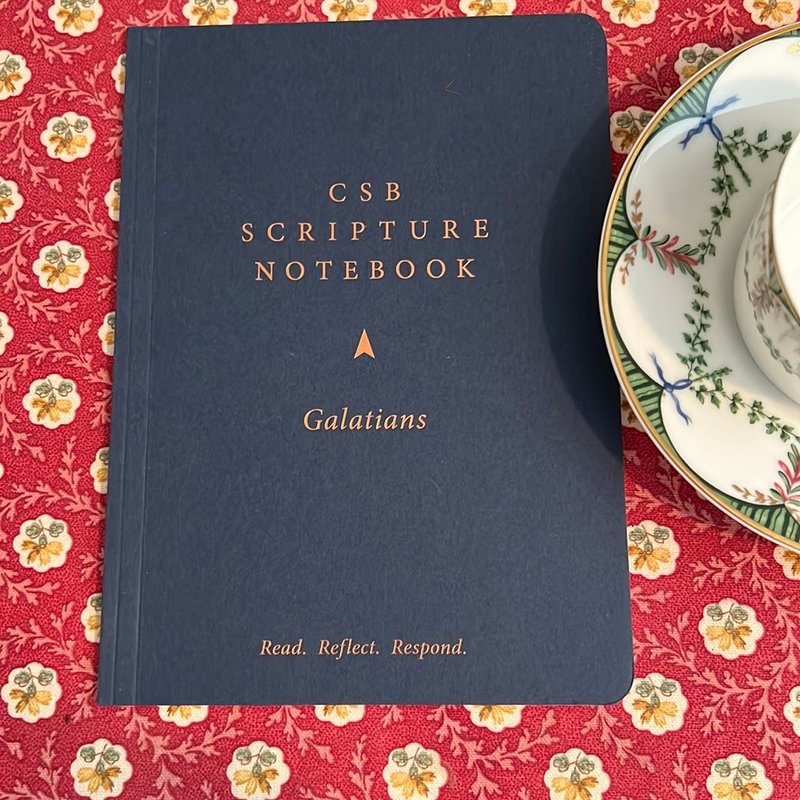 The Christian Basics Bible