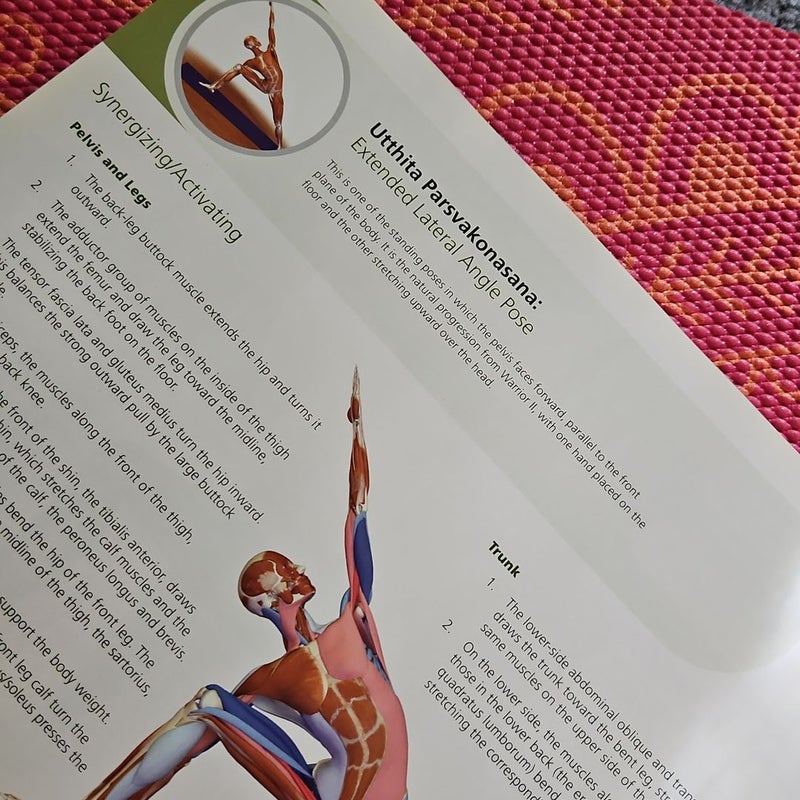 The Key Poses of Yoga