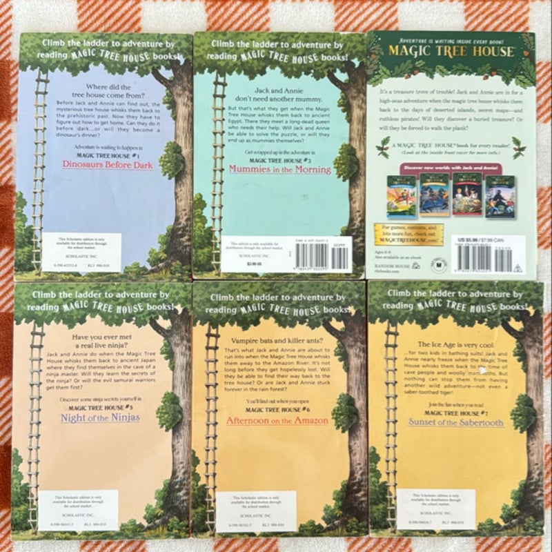 Magic Tree House bundle 