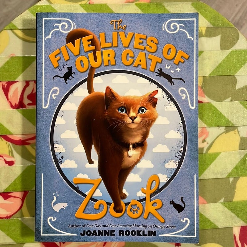 The Five Lives of Our Cat Zook