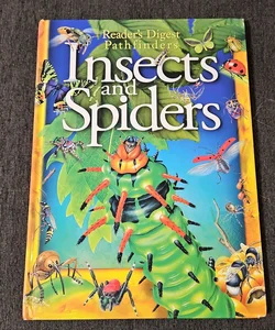 Insects and Spiders