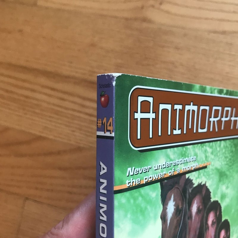 Animorphs #14 The Unknown by K.A. Applegate horse book