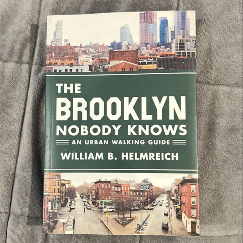 The Brooklyn Nobody Knows