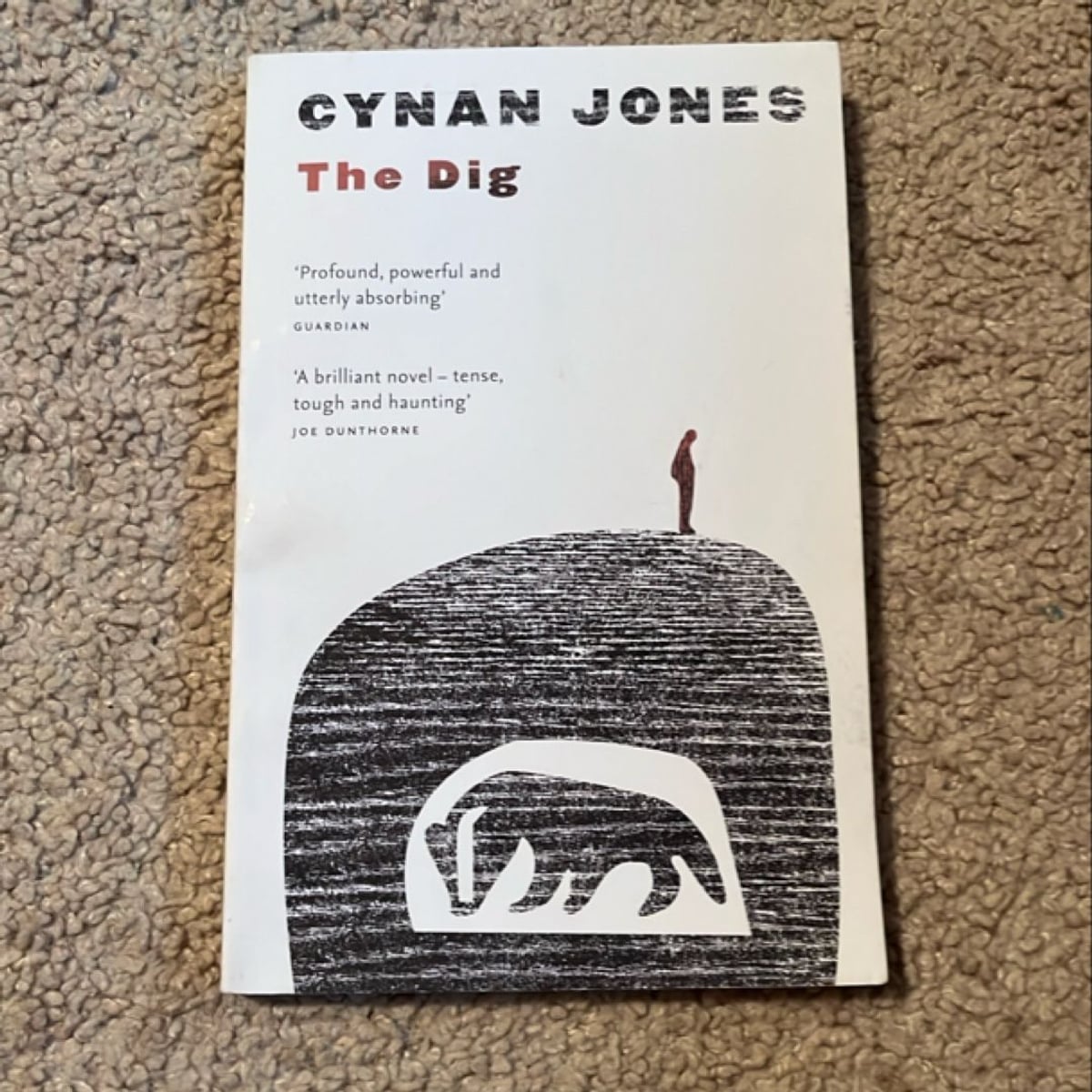 The Dig by Cynan Jones