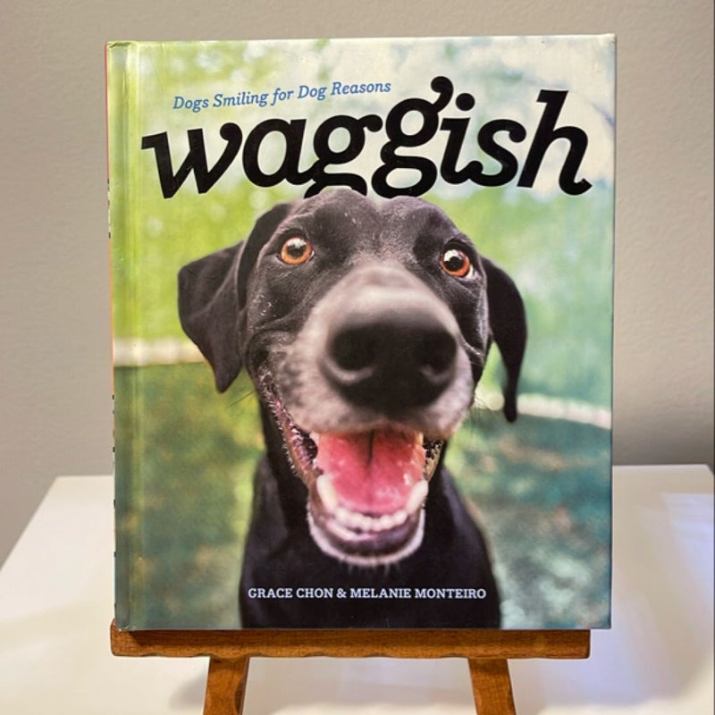 Waggish