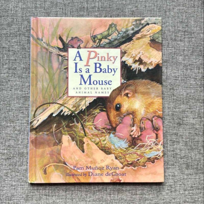 A Pinky is a Baby Mouse