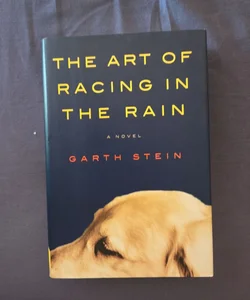 The Art of Racing in the Rain