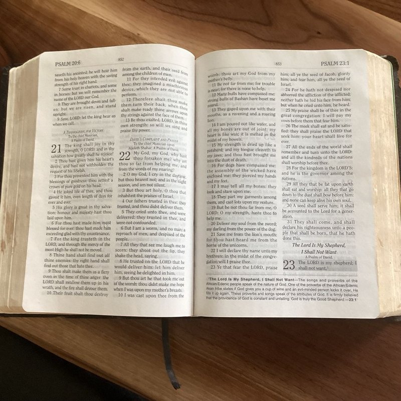 The African Heritage Study Bible