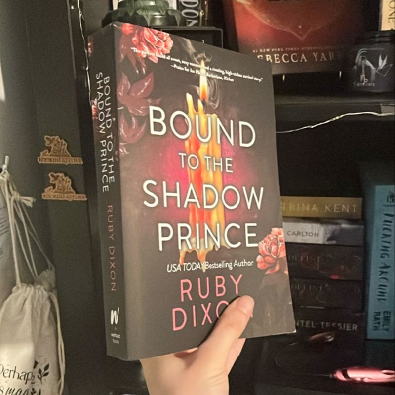 Bound to the Shadow Prince