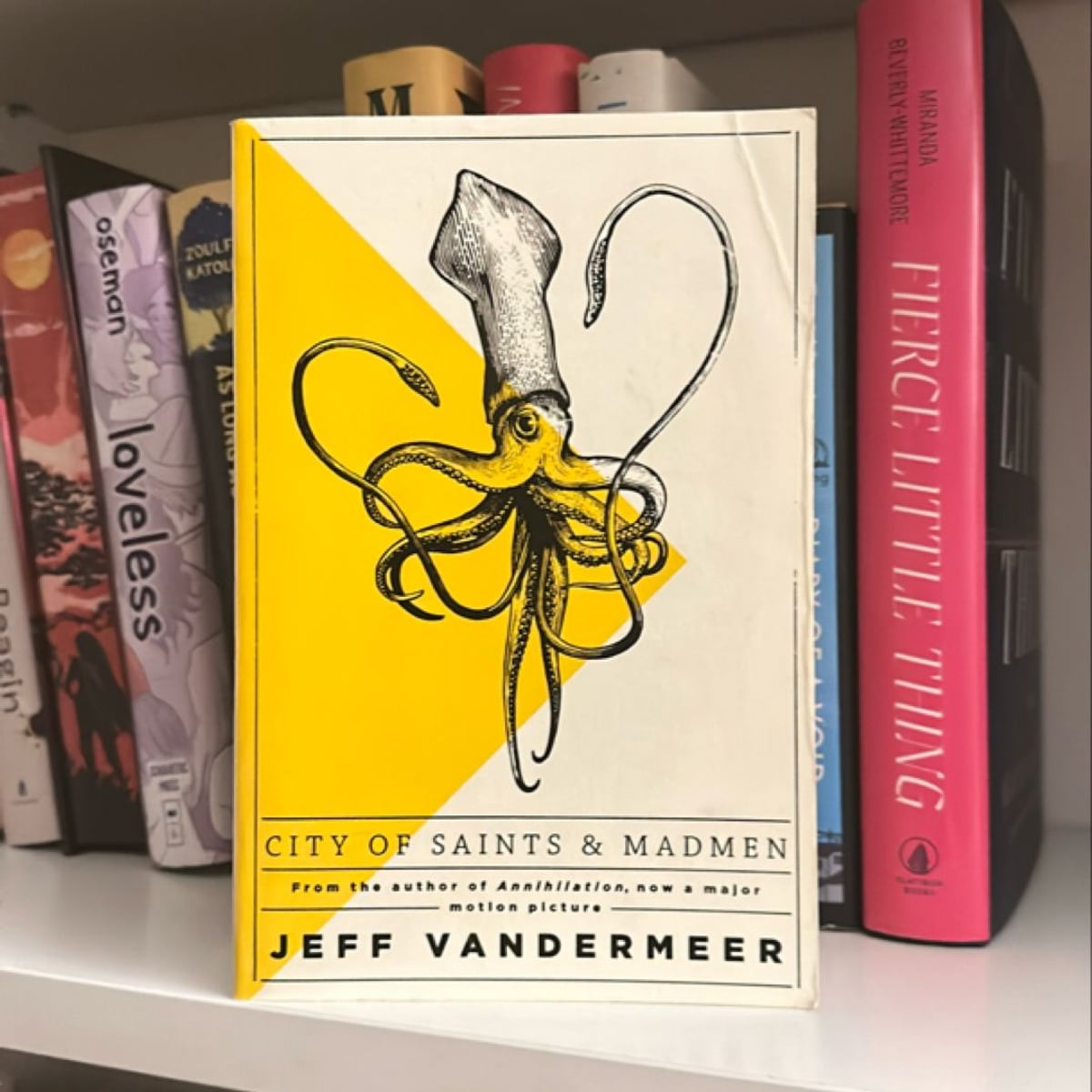 City of Saints and Madmen by Jeff VanderMeer