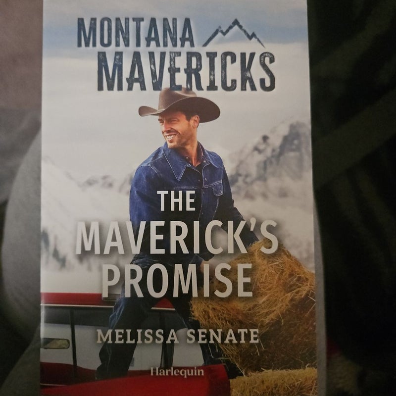 The Maverick's Promise