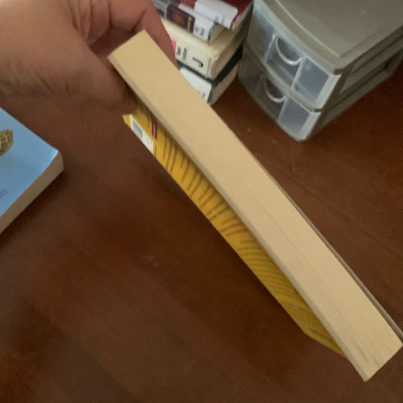 Good Kings Bad Kings