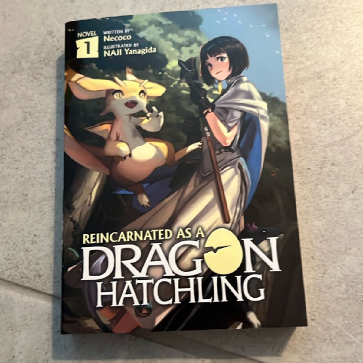Reincarnated As a Dragon Hatchling (Light Novel) Vol. 1 by