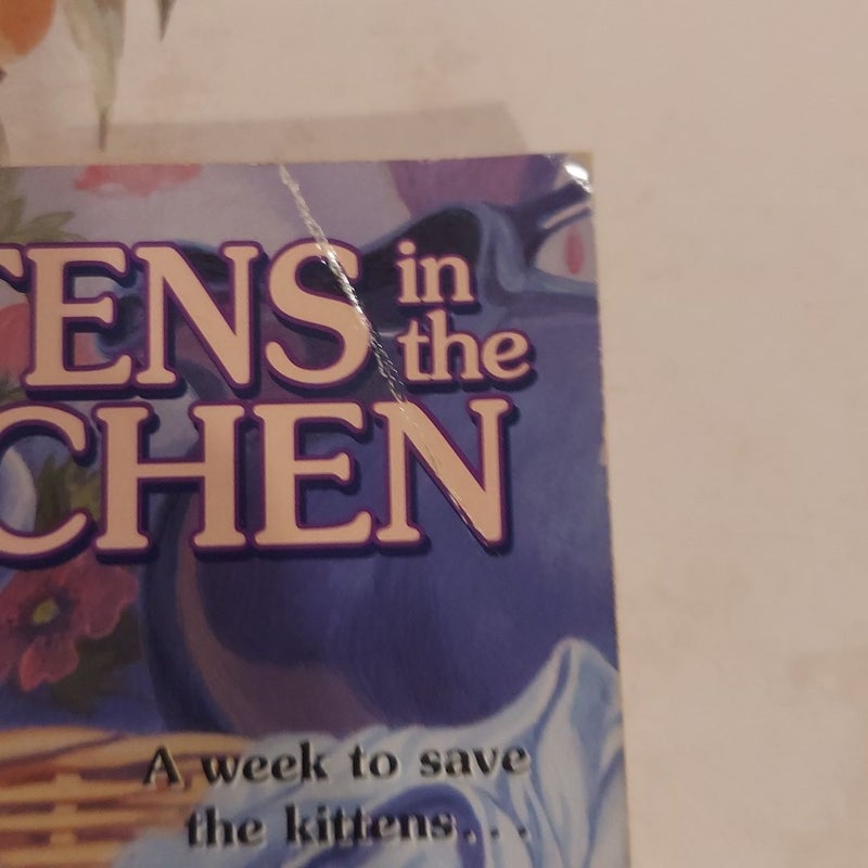 Kittens in the Kitchen