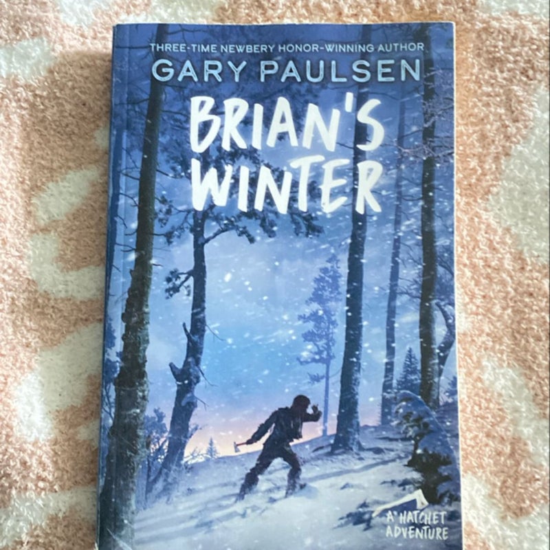 Brian's Winter