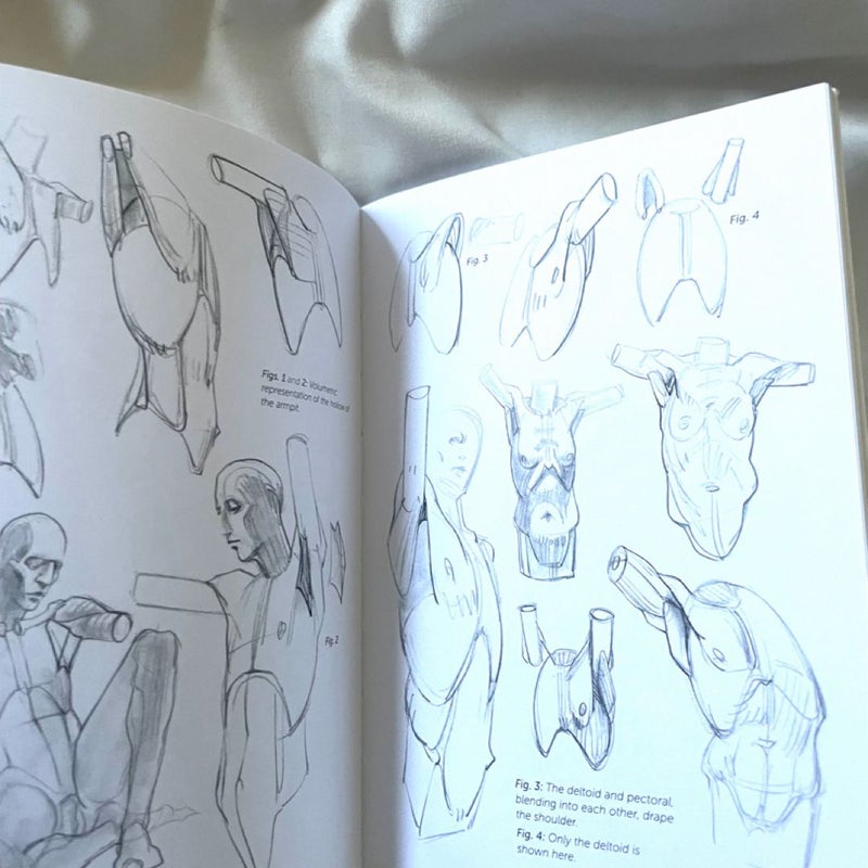 Morpho: Simplified Forms