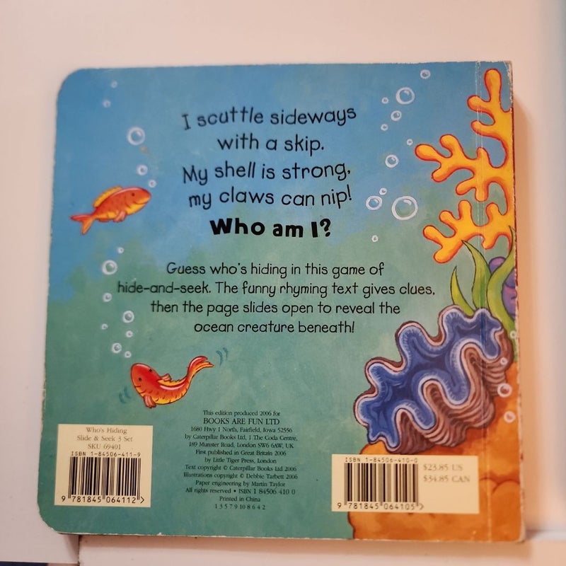 Who's hiding under the sea? 