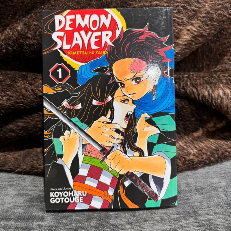 Demon Slayer: Kimetsu No Yaiba, Vol. 1