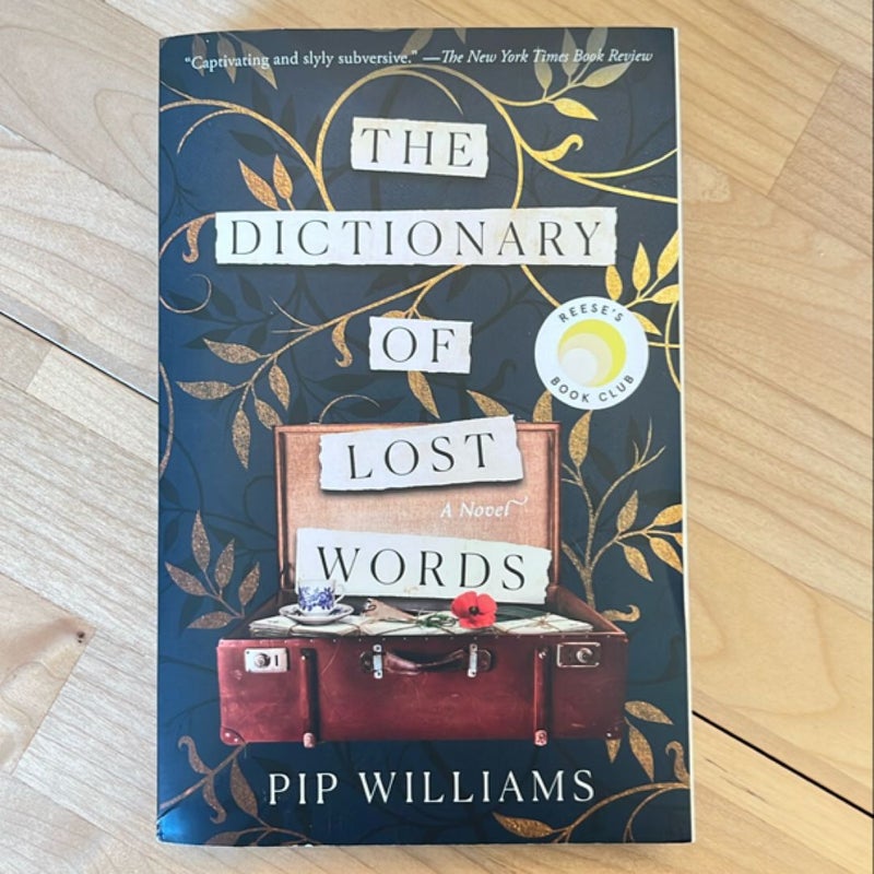 The Dictionary of Lost Words