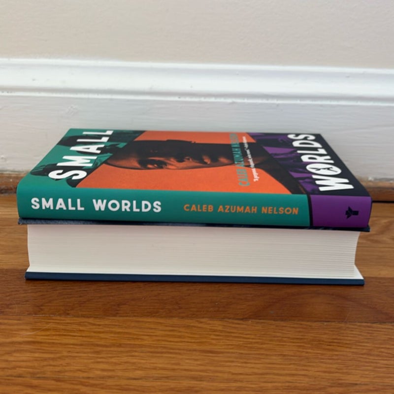 Small Worlds