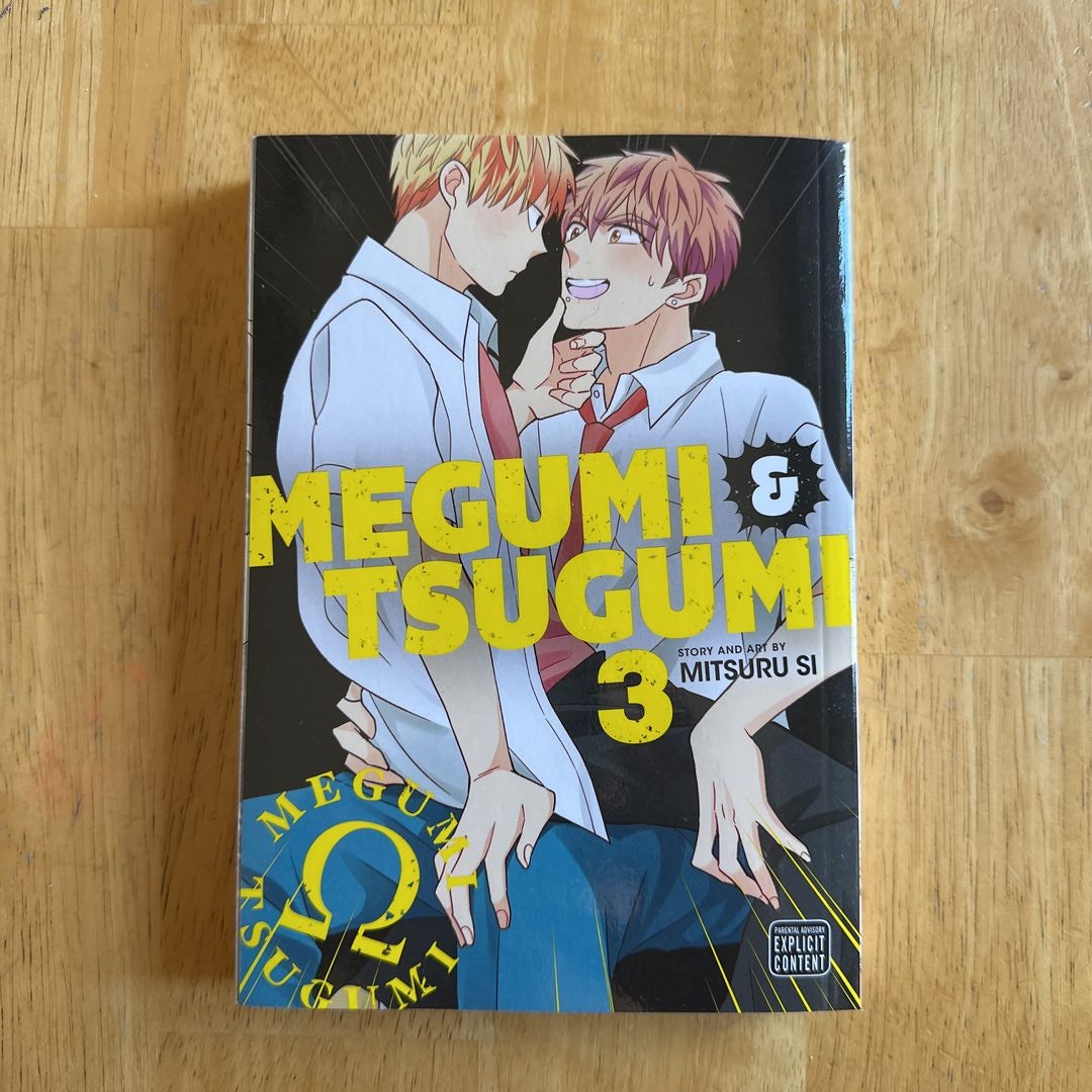 Megumi and Tsugumi, Vol. 3