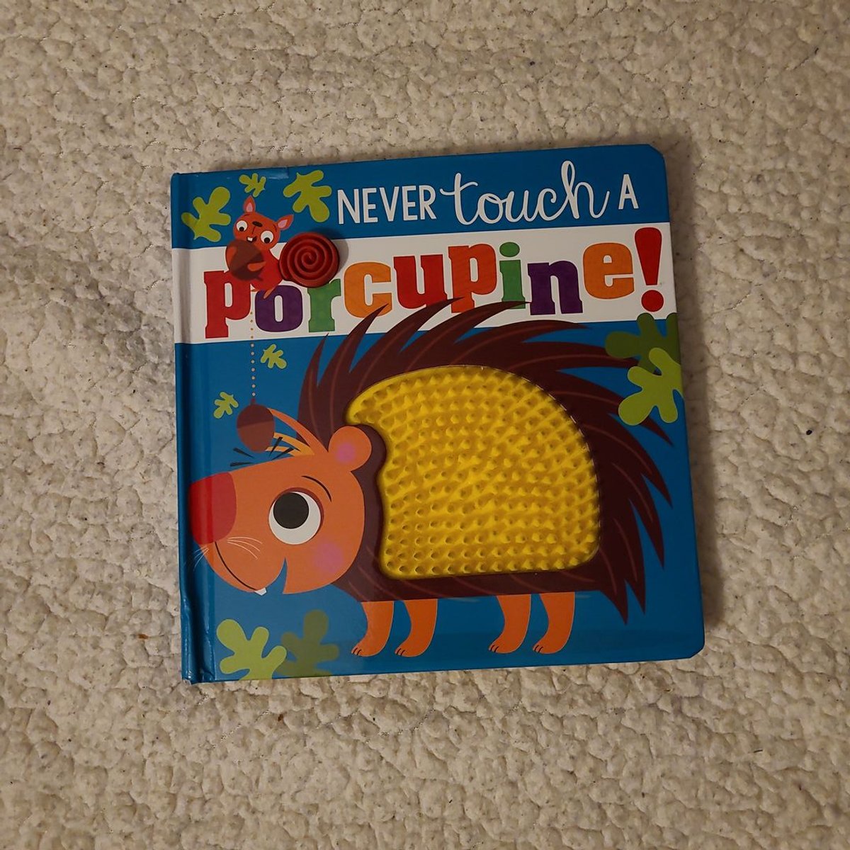 Never Touch a Porcupine! by Rosie Greening Hardcover 9781789478877