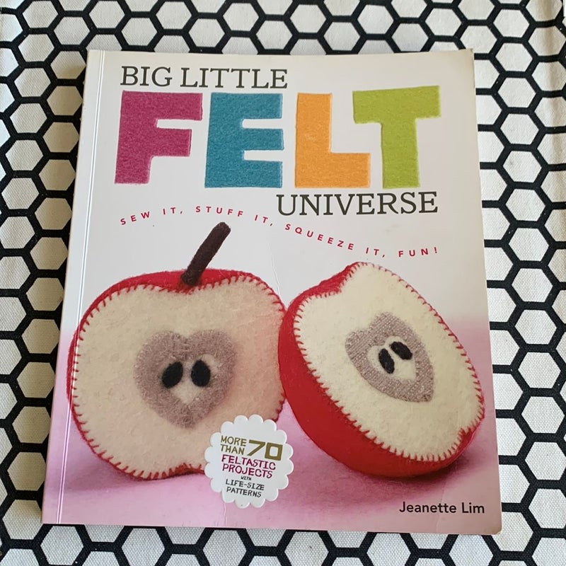 Big Little Felt Universe by Jeanette Lim