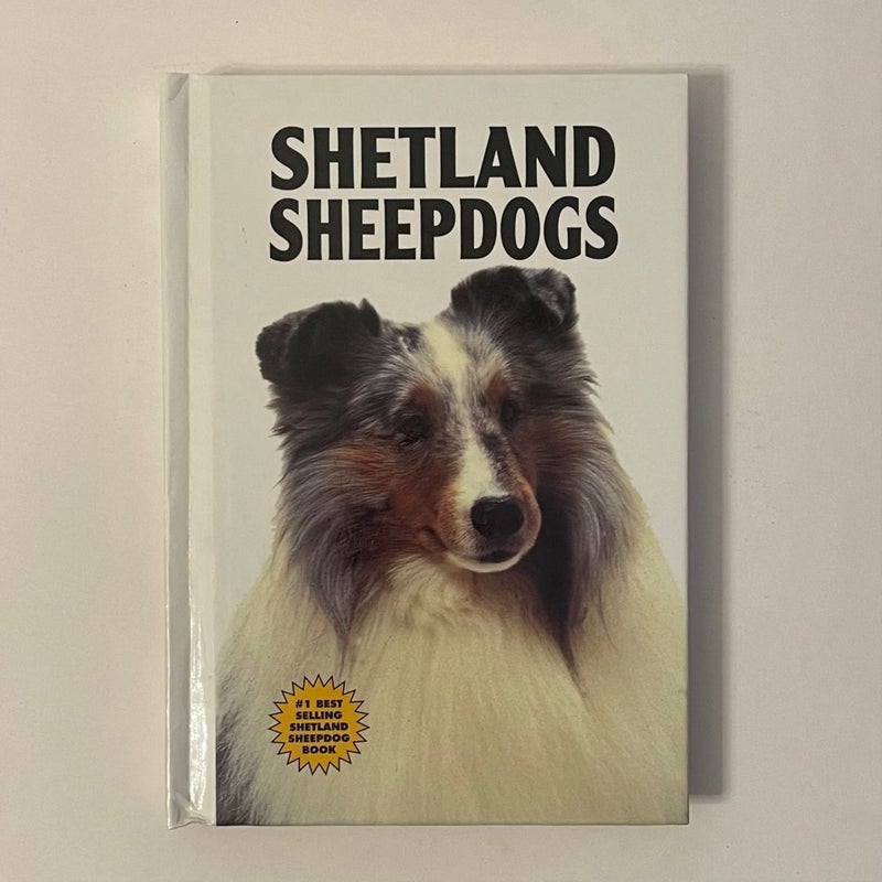 Shetland Sheepdogs