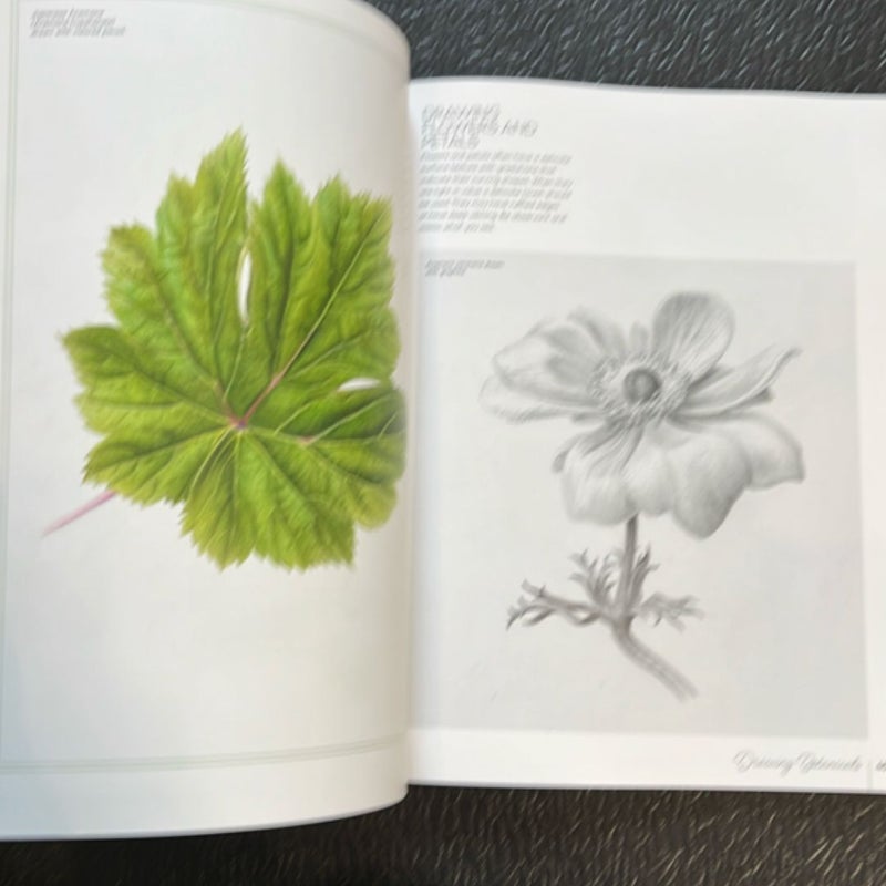 Drawing and Painting Botanicals for Artists