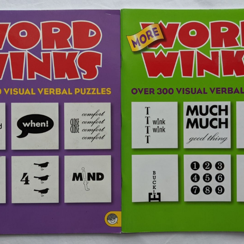 Word Puzzle Brain Teasers Book Bundle 