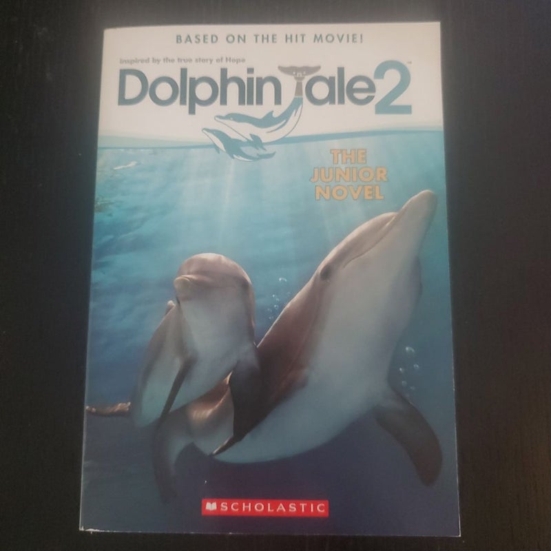 Dolphin Tale 2