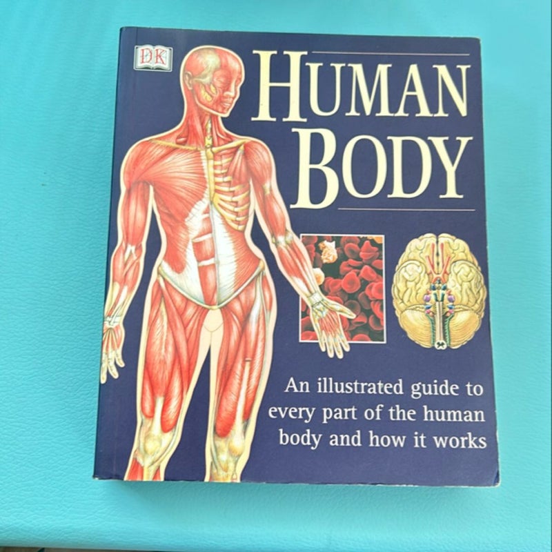 The Human Body