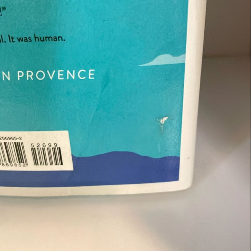 Death in Provence