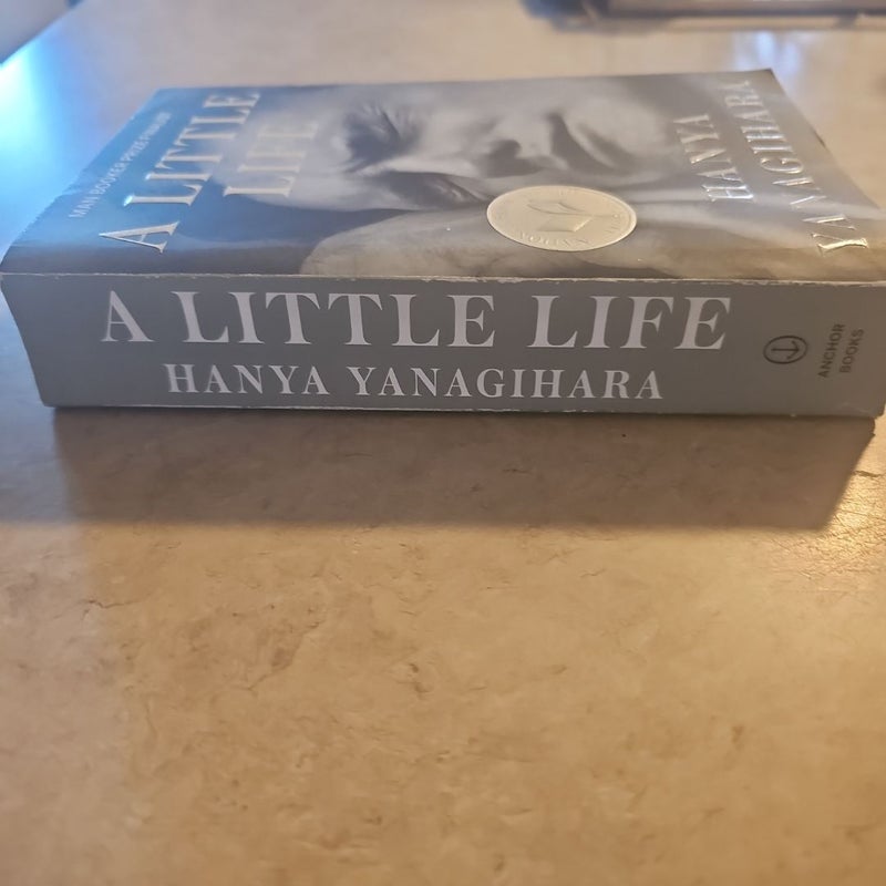 A Little Life