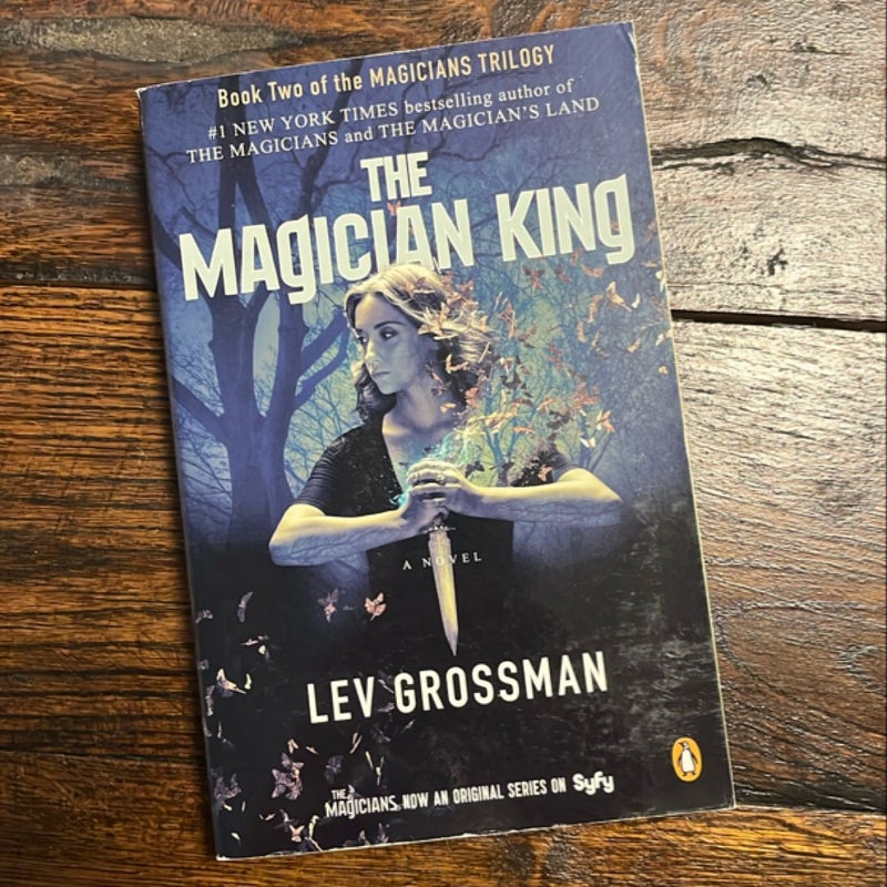 The Magician King (TV Tie-In)