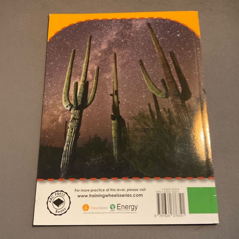See the Cactus (FSTK ONLY)